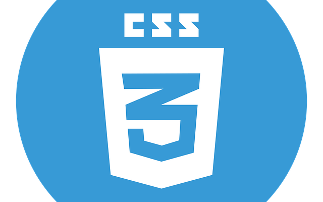 logo von css5 mit blauem hintergrund